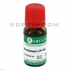 Абротанум ● Abrotanum