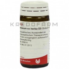 Абротанум ● Abrotanum