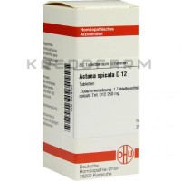 Актеа Спиката ● Actaea Spicata