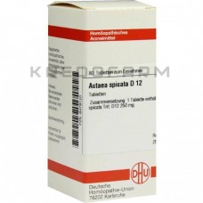 Актеа Спіката ● Actaea Spicata