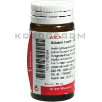 Адоніс Комп ● Adonis Comp