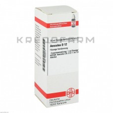 Ескулюс ● Aesculus