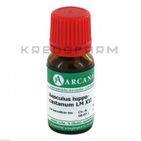 Ескулюс Гіппокастанум ● Aesculus Hippocastanum