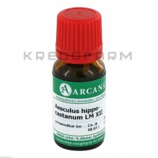 Ескулюс Гіппокастанум ● Aesculus Hippocastanum