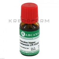 Ескулюс Гіппокастанум ● Aesculus Hippocastanum