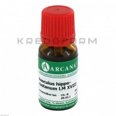 Ескулюс Гіппокастанум ● Aesculus Hippocastanum