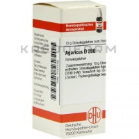 Агарікус ● Agaricus