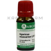 Агарикус Мускариус ● Agaricus Muscarius