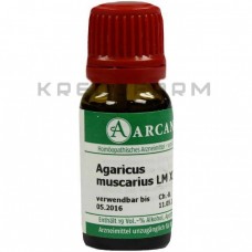 Агарикус Мускаріус ● Agaricus Muscarius