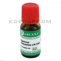 Агарикус Мускариус ● Agaricus Muscarius