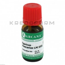 Агарикус Мускаріус ● Agaricus Muscarius