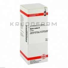 Агнус Кастус ● Agnus Castus