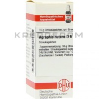 Аграфис Нутанс ● Agraphis Nutans