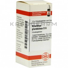 Айлантус Гландулоса ● Ailanthus Glandulosa