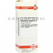 Алхемілла Вулгаріс ● Alchemilla Vulgaris