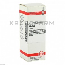 Альфальфа ● Alfalfa