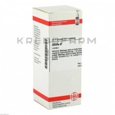 Альфальфа ● Alfalfa