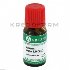 Аліум Цепа ● Allium Cepa