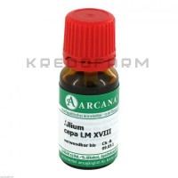 Аліум Цепа ● Allium Cepa