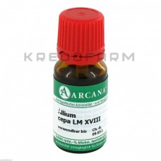 Аліум Цепа ● Allium Cepa