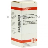 Аліум Цепа ● Allium Cepa