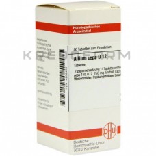 Аліум Цепа ● Allium Cepa