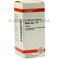 Аліум Цепа ● Allium Cepa