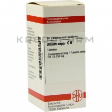 Аліум Цепа ● Allium Cepa