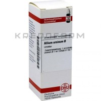 Аллиум Урсинум ● Allium Ursinum