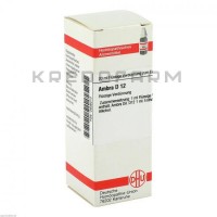 Амбра ● Ambra