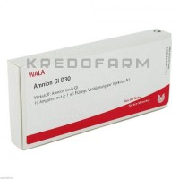 Амніон ● Amnion