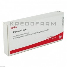 Амніон ● Amnion