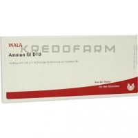 Амніон ● Amnion