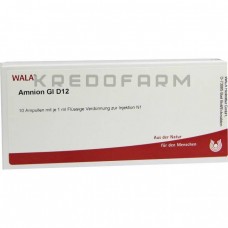 Амніон ● Amnion