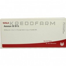 Амніон ● Amnion