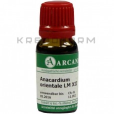 Анакардіум Орієнтале ● Anacardium Orientale