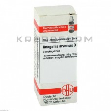 Анагалліс Арвенсис ● Anagallis Arvensis