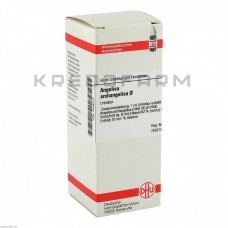 Ангеліка Архангеліка ● Angelica Archangelica