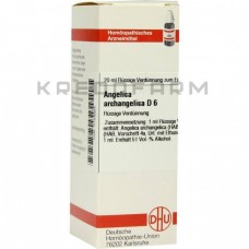 Ангеліка Архангеліка ● Angelica Archangelica