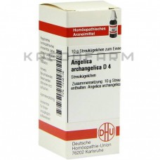 Ангеліка Архангеліка ● Angelica Archangelica