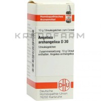 Ангеліка Архангеліка ● Angelica Archangelica