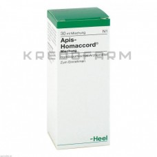 Апіс Хомаккорд ● Apis Homaccord