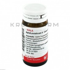 Апіс Левістікум ● Apis Levisticum