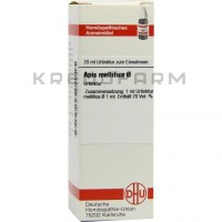 Апис Меллифика ● Apis Mellifica