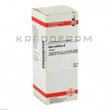 Апіс Меліфіка ● Apis Mellifica