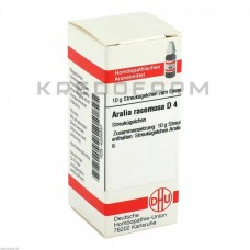 Араліа Рацемоза ● Aralia Racemosa