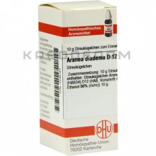 Аранеа Діадема ● Aranea Diadema