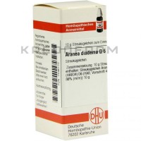 Аранеа Диадема ● Aranea Diadema