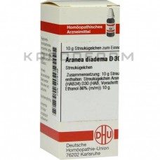 Аранеа Діадема ● Aranea Diadema