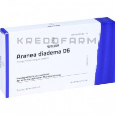 Аранеа Діадема ● Aranea Diadema